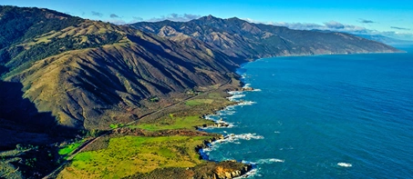 new zeland cost 